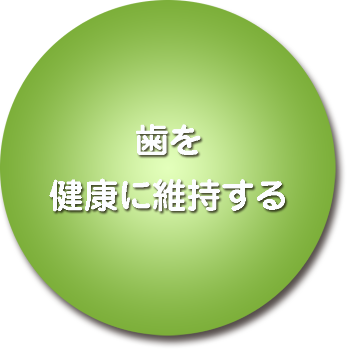 歯を健康に維持する